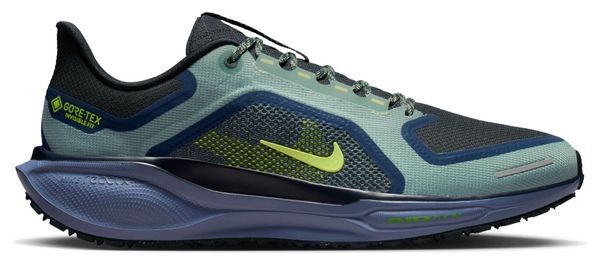 Chaussure de running Route Nike Pegasus 41 GTX
