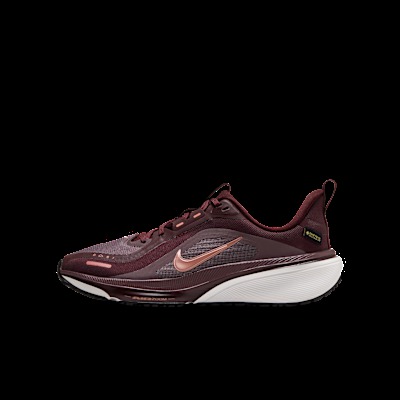Chaussure de running Route Nike Pegasus 42 GTX