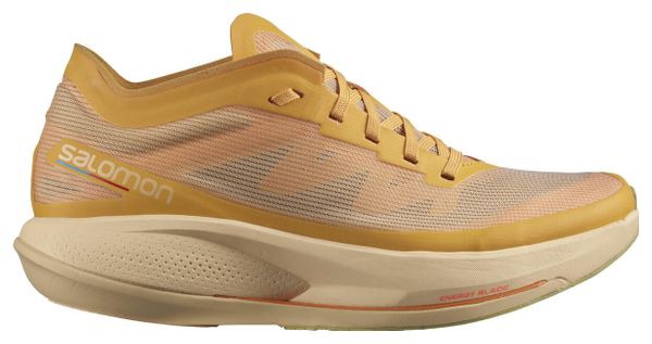 Chaussure de running Route Salomon Phantasm