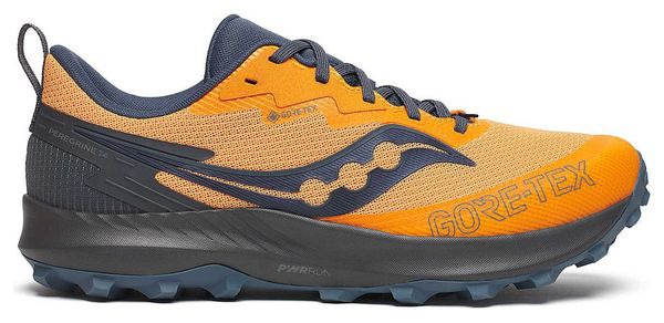 Chaussure de running Trail Saucony Peregrine 14 GTX